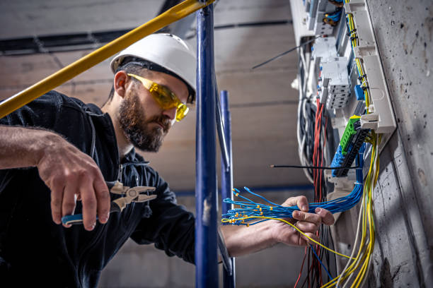 Best Generator Installation Services  in Caledonia, MS